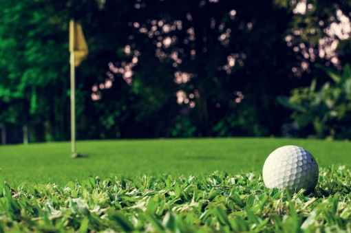 Billede af Skærbæk Mølle Golfklub Ølgod