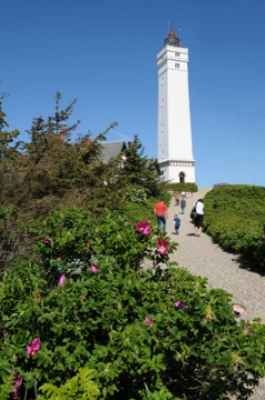 Picture of Blåvandshuk fyr